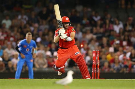big bash odds|Big Bash Winner Betting Odds .
